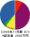 スケガワトソウ 貸借対照表 2009年11月期
