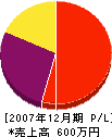 鬼怒川造園 損益計算書 2007年12月期