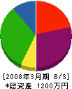 カクシン柳澤建設 貸借対照表 2008年3月期