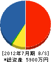 寺阪建築工房 貸借対照表 2012年7月期