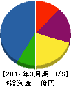 寺沢工務店 貸借対照表 2012年3月期