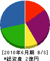 井戸川建設 貸借対照表 2010年6月期