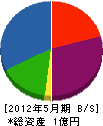 瀬戸内舗道 貸借対照表 2012年5月期