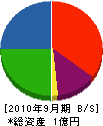 坂本砿業所 貸借対照表 2010年9月期