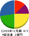 徳島大三工業 貸借対照表 2009年12月期