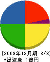 宮嶋木材 貸借対照表 2009年12月期