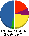 ソウビ 貸借対照表 2009年11月期