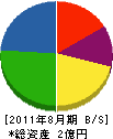 川井スポーツ 貸借対照表 2011年8月期