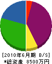 喜多川板金 貸借対照表 2010年6月期