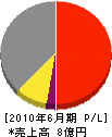 徳山電機製作所 損益計算書 2010年6月期