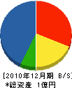 豊進 貸借対照表 2010年12月期