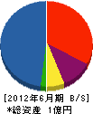 広井建設 貸借対照表 2012年6月期