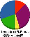 大洋工業 貸借対照表 2008年10月期
