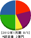 大沢設備工業所 貸借対照表 2012年1月期