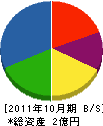 釜堀組 貸借対照表 2011年10月期