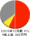 インテリア松田 損益計算書 2010年12月期