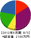 山田建巧 貸借対照表 2012年6月期