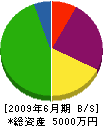 蓬田組 貸借対照表 2009年6月期