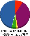 行政塗装店 貸借対照表 2009年12月期