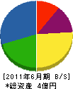 崎田工務店 貸借対照表 2011年6月期