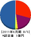 アタカ 貸借対照表 2011年6月期