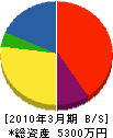 角田工業所 貸借対照表 2010年3月期