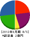 菅野建設工業 貸借対照表 2012年6月期