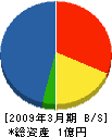 田島電気商会 貸借対照表 2009年3月期