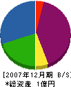 土井庭苑 貸借対照表 2007年12月期