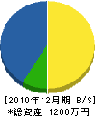 柚木木材 貸借対照表 2010年12月期