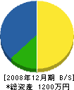 山本工業 貸借対照表 2008年12月期