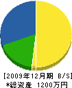 池田電気水道商会 貸借対照表 2009年12月期