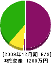 龍松造園 貸借対照表 2009年12月期