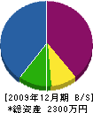 岡島工務店 貸借対照表 2009年12月期