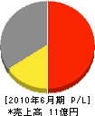 渋沢 損益計算書 2010年6月期