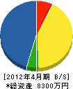 広瀬電工舎 貸借対照表 2012年4月期