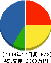 石川土木 貸借対照表 2009年12月期
