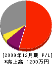 石戸谷建築工業 損益計算書 2009年12月期