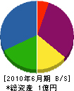 岩井組 貸借対照表 2010年6月期