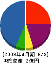 山本総合防災 貸借対照表 2009年4月期