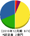 松丸建設興業 貸借対照表 2010年12月期