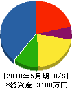 松島園 貸借対照表 2010年5月期