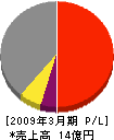 沖縄電機工業 損益計算書 2009年3月期