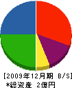 角杉電業 貸借対照表 2009年12月期