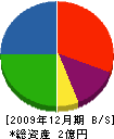 角杉電業 貸借対照表 2009年12月期 角杉電業 貸借対照表 2009年12月期