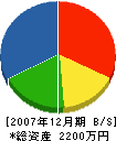 川村組 貸借対照表 2007年12月期