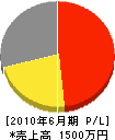 武嶋電気工業 損益計算書 2010年6月期