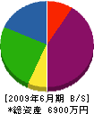 生田建設 貸借対照表 2009年6月期
