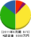 井上秀陽園 貸借対照表 2011年6月期