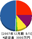 富士防メンテナンス 貸借対照表 2007年12月期
